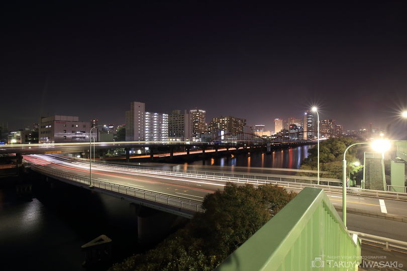 大井北埠頭橋の夜景スポット写真（4）