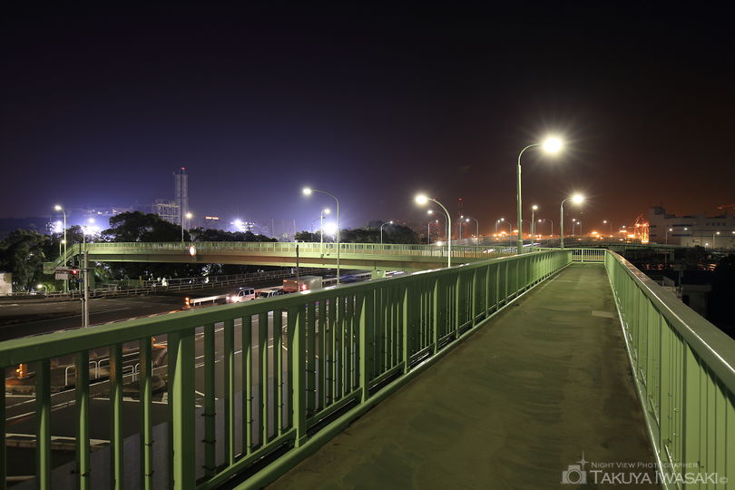 大井北埠頭橋の夜景スポット写真（5）