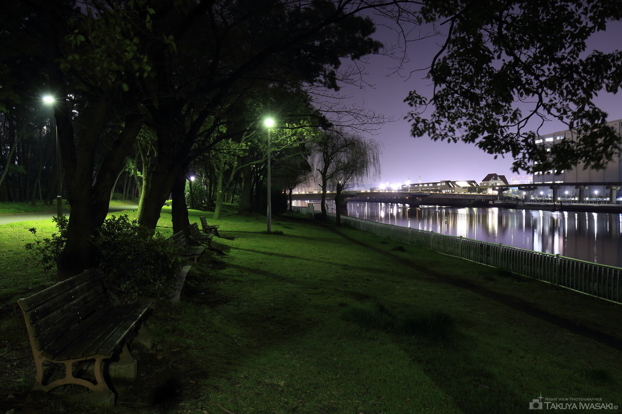 京浜運河緑道公園の夜景スポット写真（4）