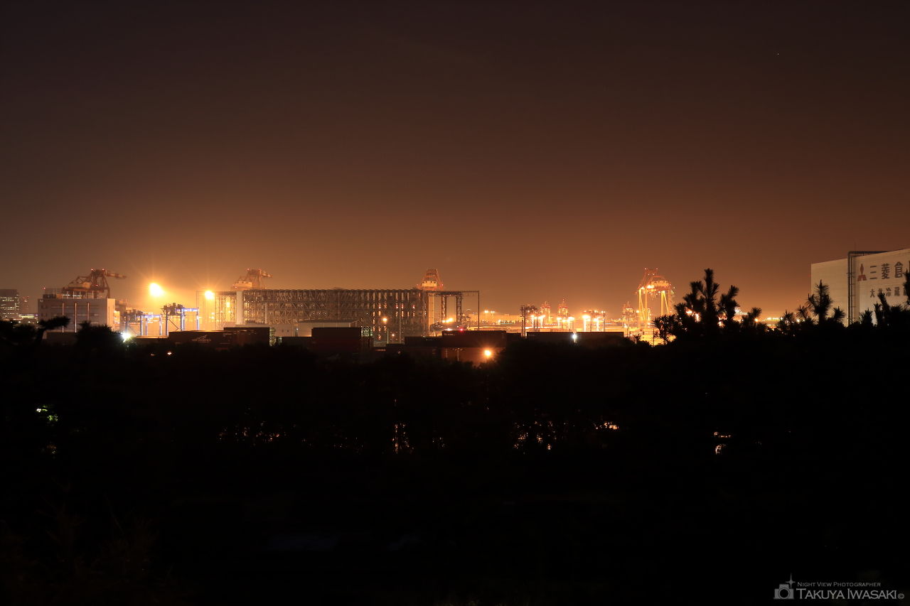 みなとが丘ふ頭公園の夜景スポット写真（1）