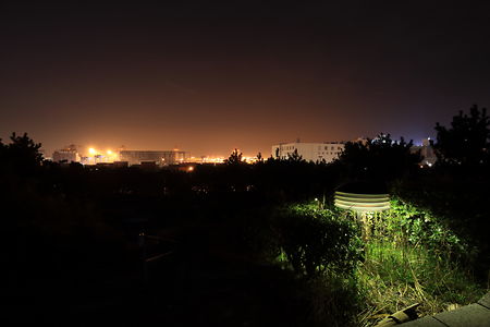 街灯と大井埠頭方面の夜景
