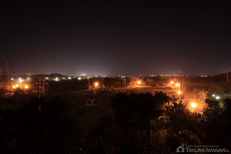 大仏山公園　展望台多目的広場の夜景スポット写真（1）