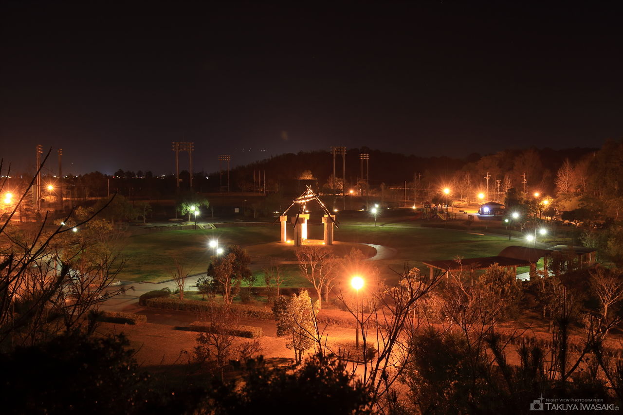 大仏山公園　展望台多目的広場の夜景スポット写真（2）
