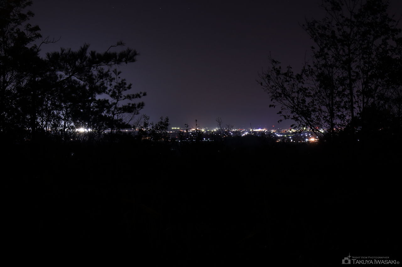 大仏山公園　展望台多目的広場の夜景スポット写真（3）