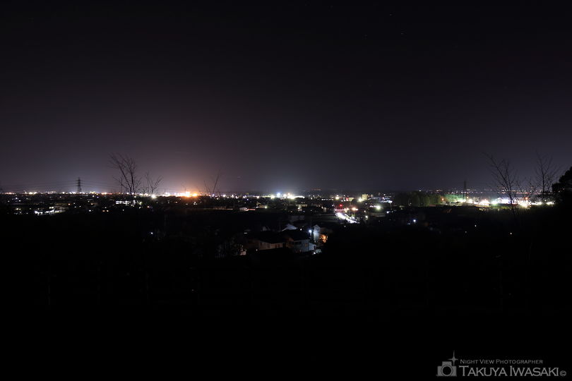 大仏山公園　展望広場の夜景スポット写真（2）