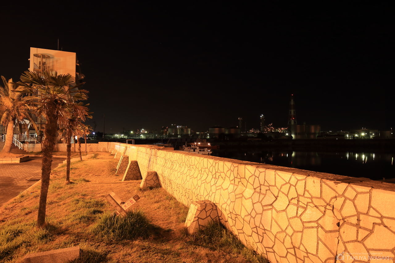 稲葉翁記念公園の夜景スポット写真（4）