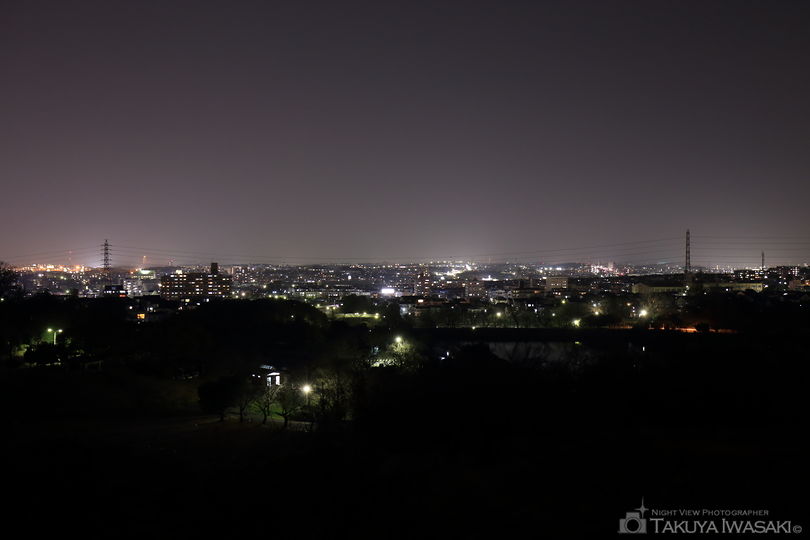 大高緑地 展望台の夜景スポット写真（1）