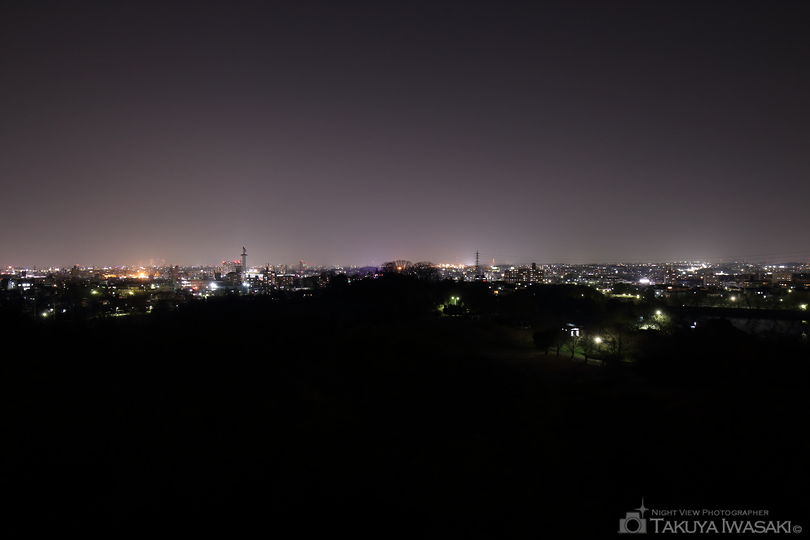 大高緑地 展望台の夜景スポット写真（2）