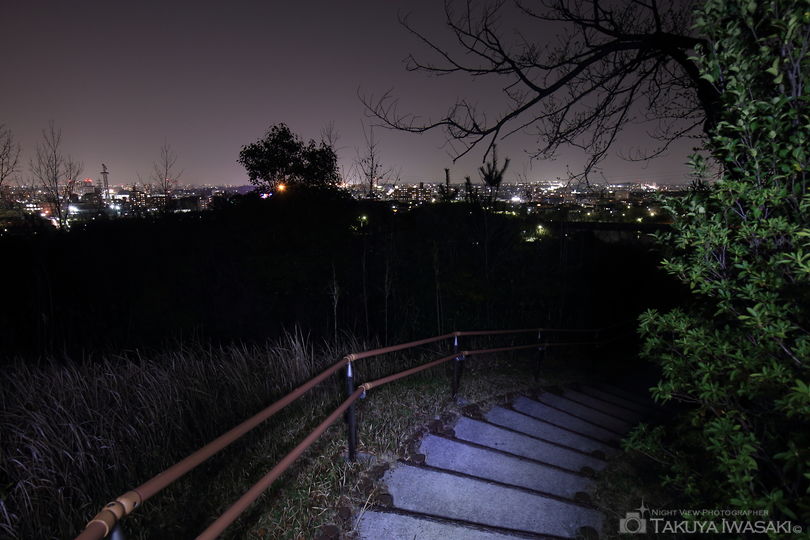大高緑地 展望台の夜景スポット写真（4）