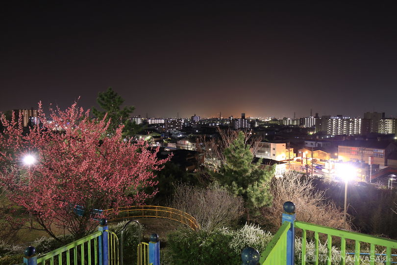 千句塚公園の夜景スポット写真（2）