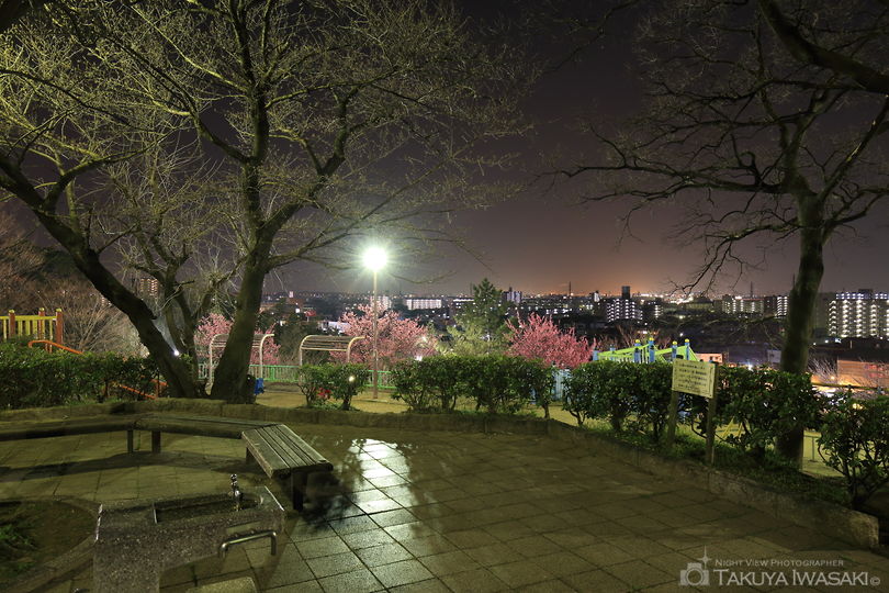 千句塚公園の夜景スポット写真（3）