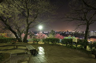千句塚公園の夜景スポット写真（3）class=