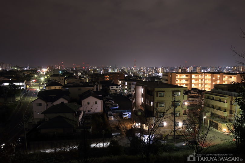 稲葉山公園の夜景スポット写真（3）