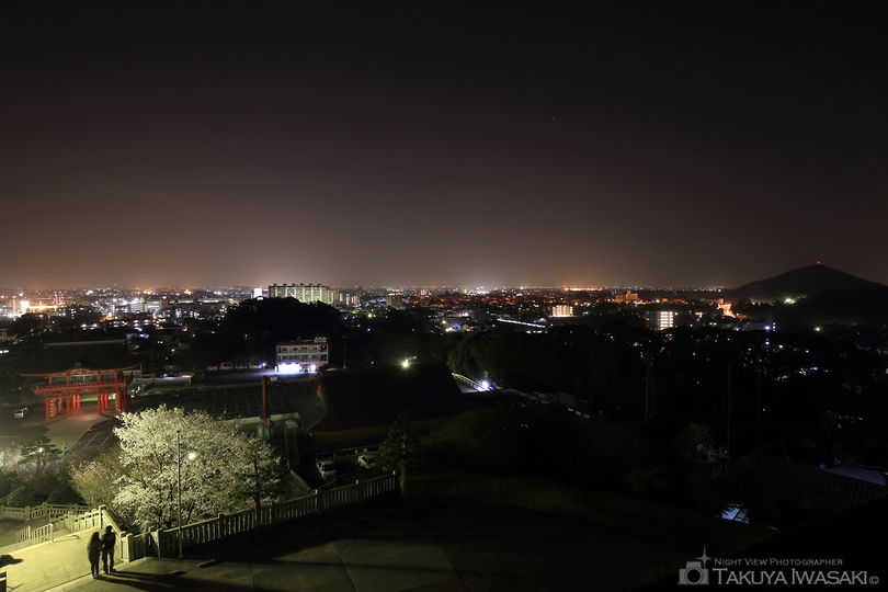 犬山成田山大聖寺の夜景スポット写真（2）