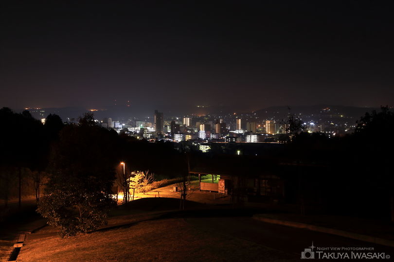 喜多緑地の夜景スポット写真（1）