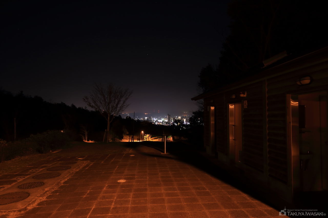 喜多緑地の夜景スポット写真（2）