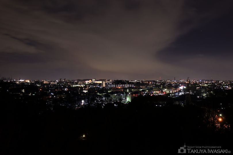 色金山歴史公園の夜景スポット写真（1）