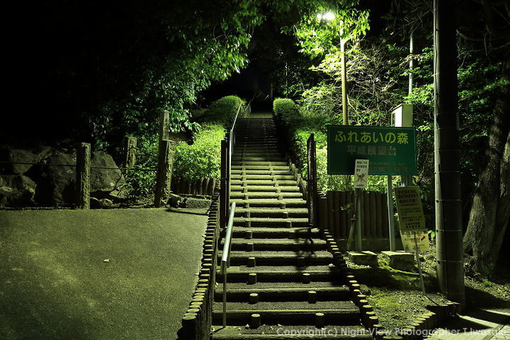 平成展望台の夜景スポット写真（4）