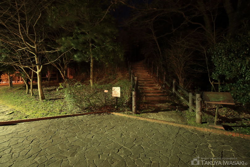 三好丘緑地の夜景スポット写真（5）