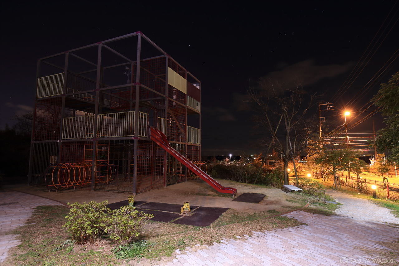 ふかま公園の夜景スポット写真（3）