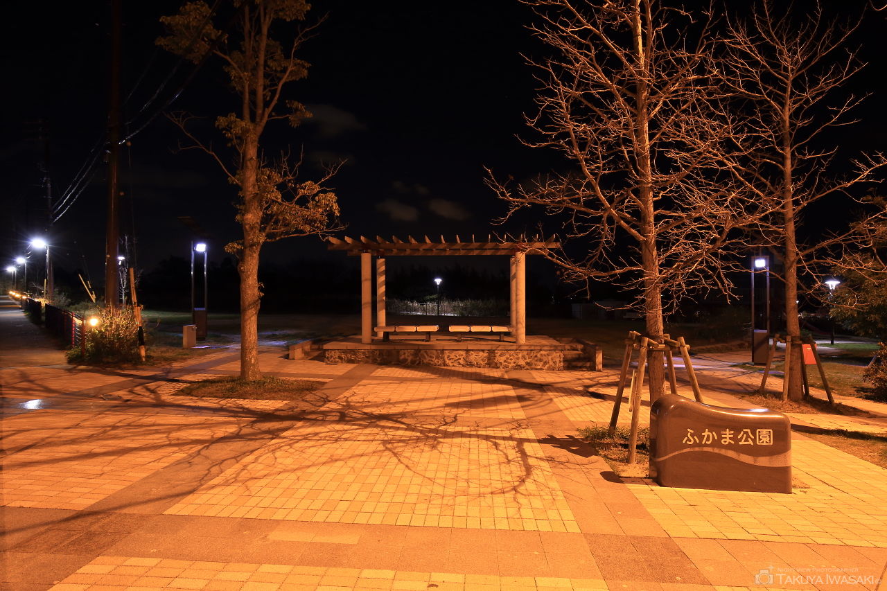 ふかま公園の夜景スポット写真（4）