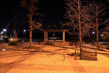 ふかま公園の夜景スポット写真（4）class=