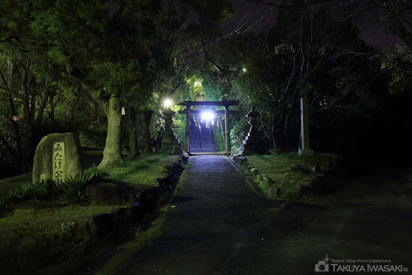 みたけ公園の夜景スポット写真（5）