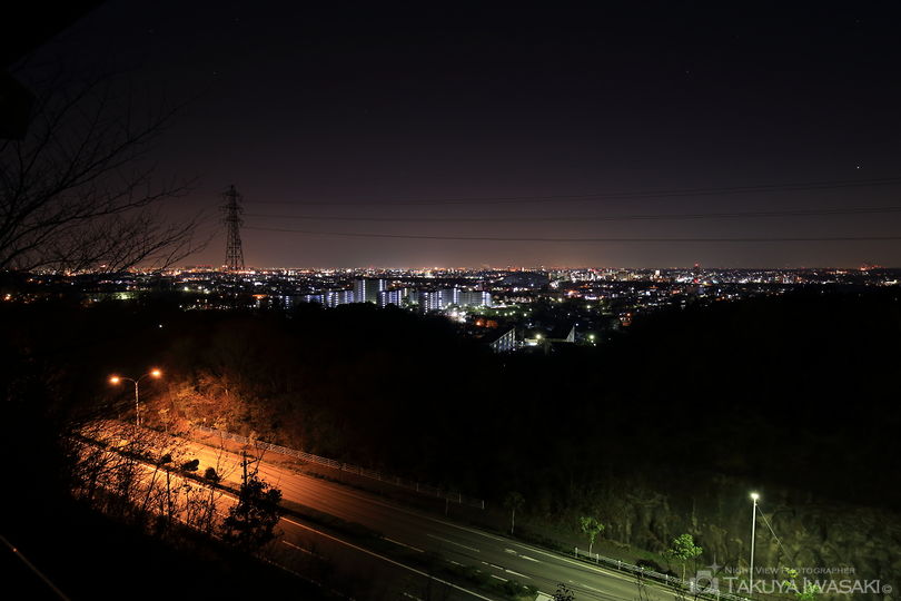 豊田市自然観察の森の夜景スポット写真（1）
