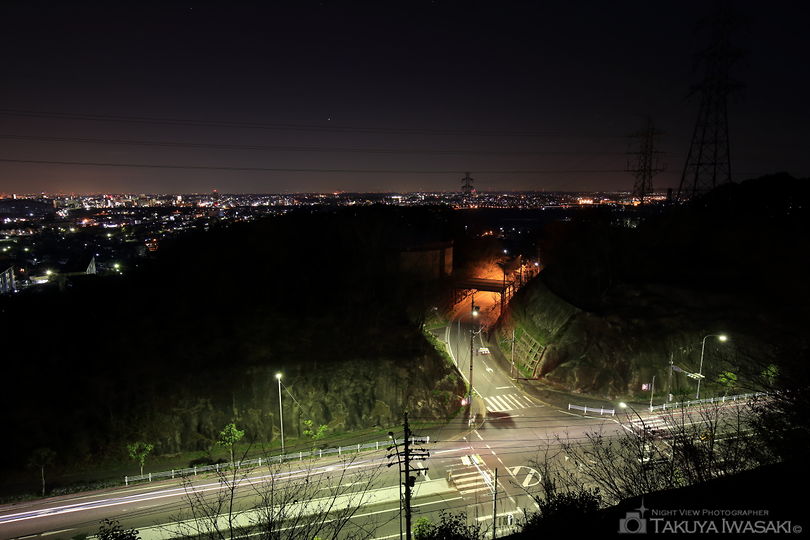 豊田市自然観察の森の夜景スポット写真（2）