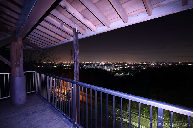 豊田市自然観察の森の夜景スポット写真（3）