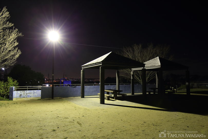市木南公園の夜景スポット写真（3）