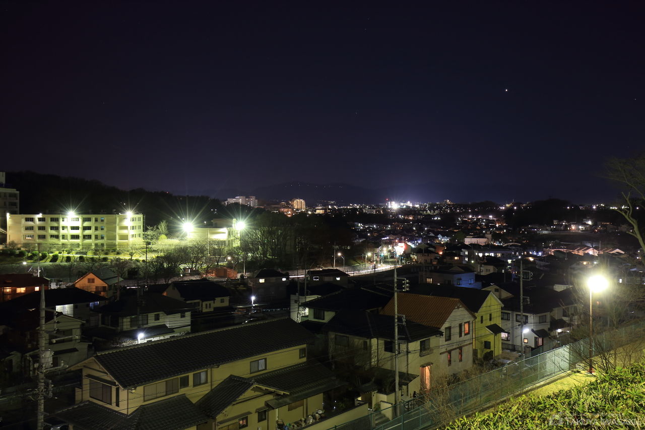 かまぬき公園の夜景スポット写真（1）