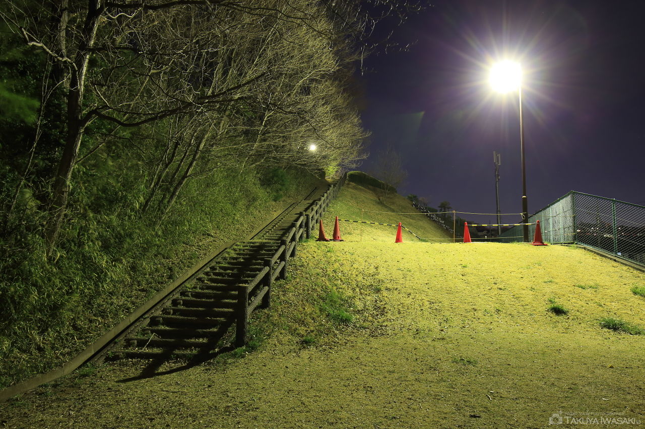 かまぬき公園の夜景スポット写真（5）