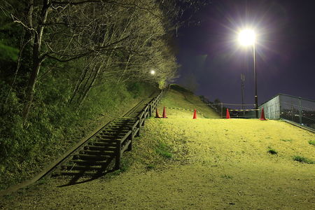 かまぬき公園の夜景スポット写真（5）class=
