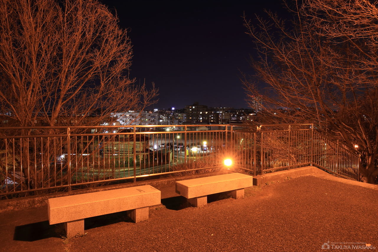 藤谷戸公園の夜景スポット写真（3）
