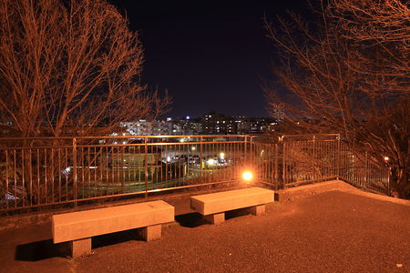 藤谷戸公園の夜景スポット写真（3）class=