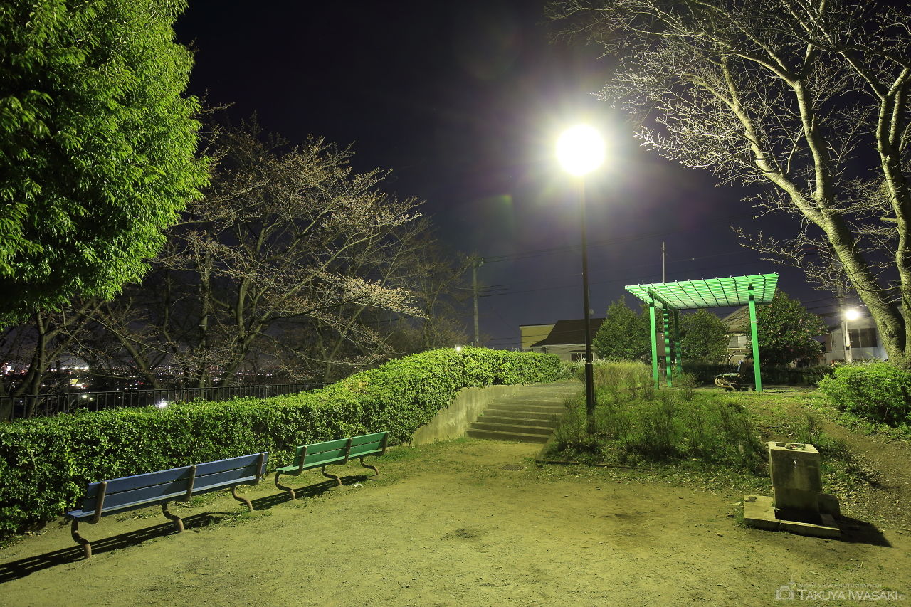 滝山台見晴東公園の夜景スポット写真（3）