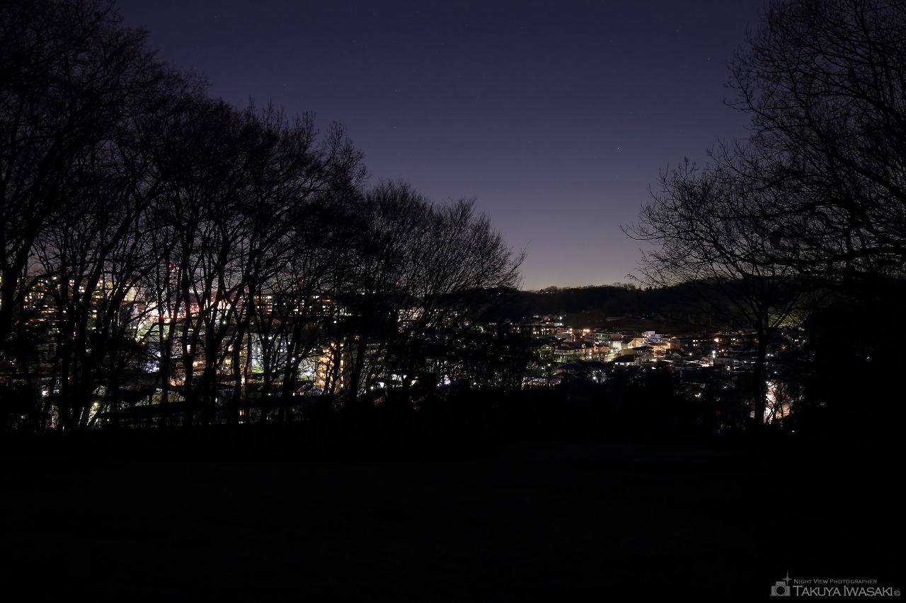 宇津貫公園の夜景スポット写真（4）
