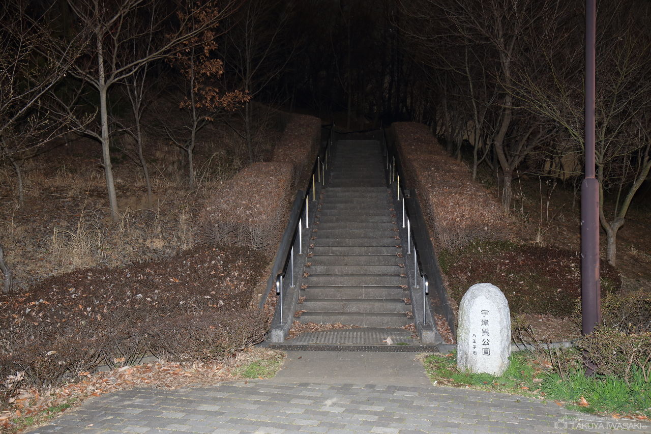 宇津貫公園の夜景スポット写真（5）