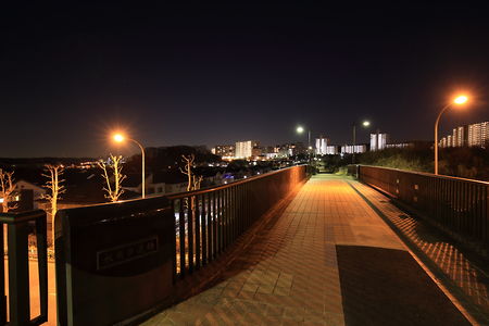 鑓水水甫公園の夜景スポット写真（2）class=