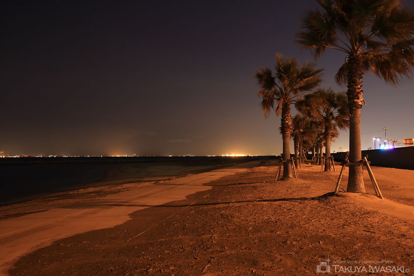 りんくうビーチの夜景スポット写真（4）