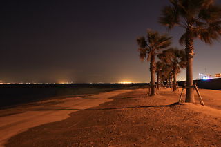 りんくうビーチの夜景スポット写真（4）class=