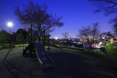 三ツ目山西公園の夜景スポット写真（4）class=