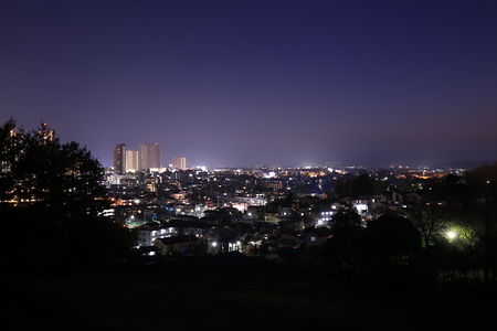三ツ目山公園 展望広場の夜景スポット写真（1）class=