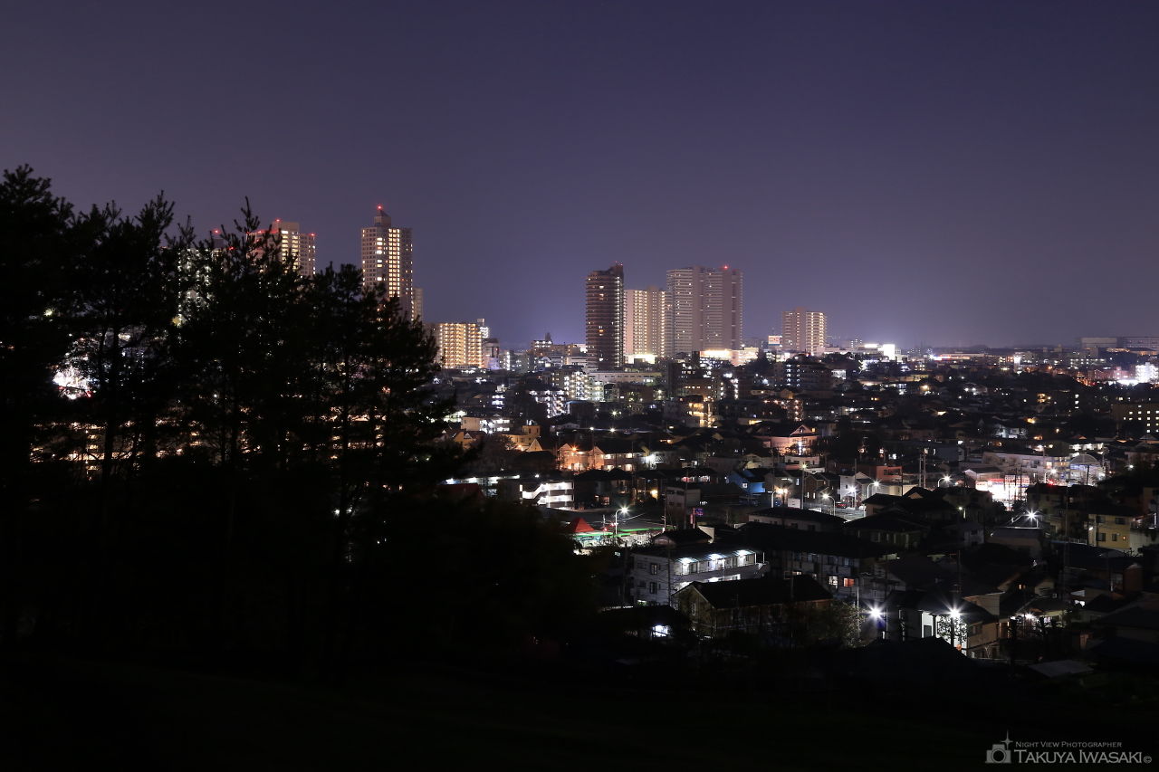 三ツ目山公園 展望広場の夜景スポット写真（2）