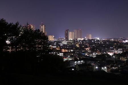 三ツ目山公園 展望広場の夜景スポット写真（2）class=