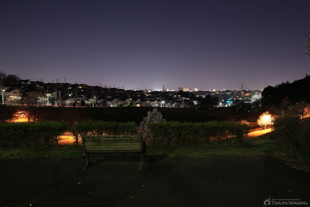 小山馬場谷戸公園の夜景スポット写真（1）