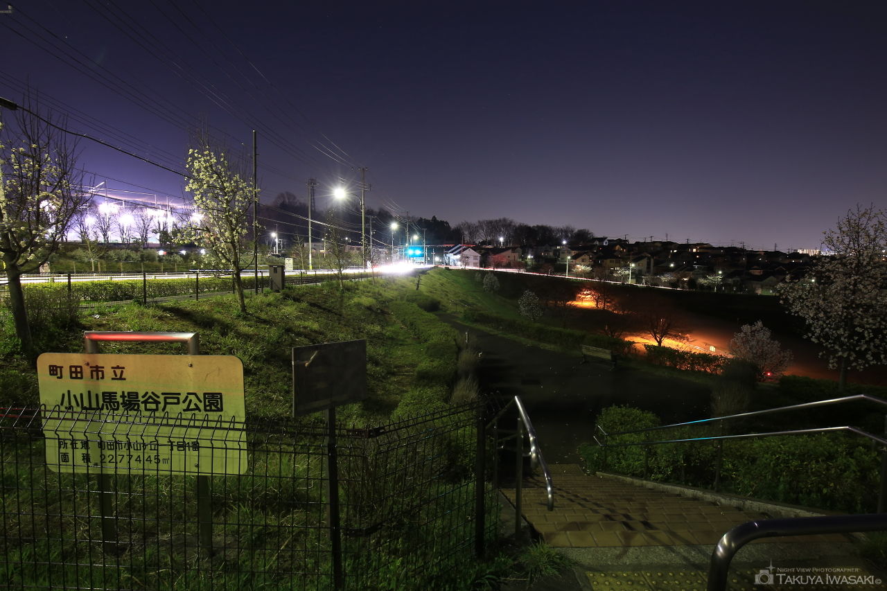 小山馬場谷戸公園の夜景スポット写真（3）