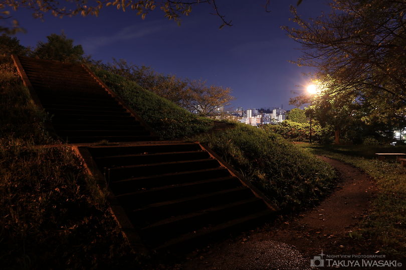 堀之内芝原公園の夜景スポット写真（4）