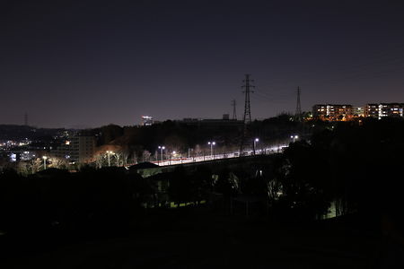 秋葉台公園の夜景スポット写真（2）class=